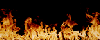 fire_8.gif