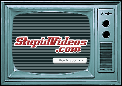 stupidvideostvlogo.gif